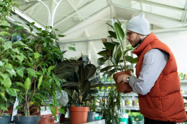 Bahçe merkezindeki müşteri evi için bir bitki seçiyor..