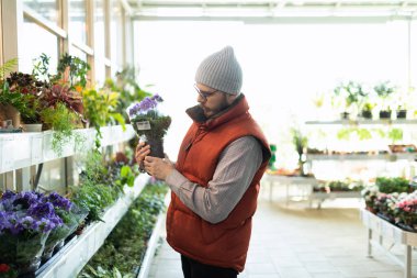 Bir adam evine saksıdan çiçek seçer..