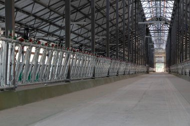 Modern bir süt çiftliğinde geniş havalandırmalı koridorlar.