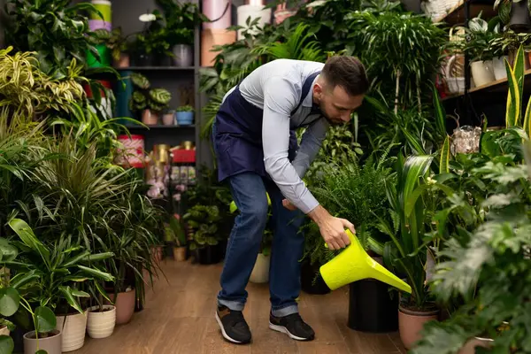 florist watering potted plants in store from plastic watering can.