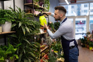Çiçekçinin rafında çiçeklerle ilgilenen bir adam..