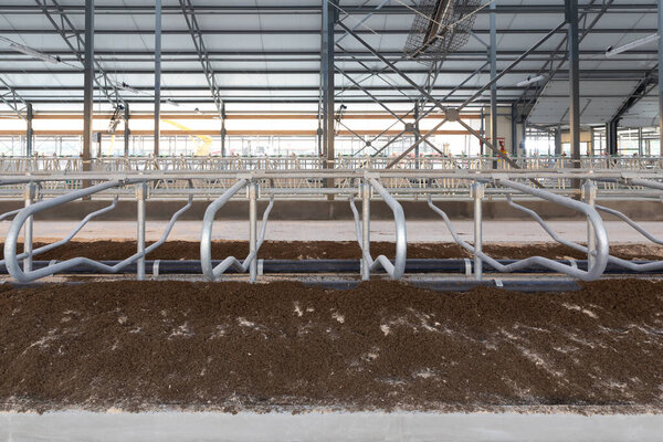 новое современное животноводческое хозяйство с зонами отдыха.