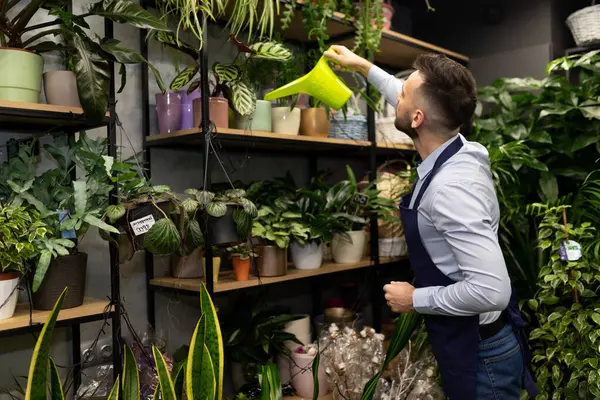 Çiçekçi çalışanı raflardaki saksıları suluyor..