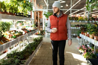 Nalbur hipermarketinde saksı bitkileri rafları arasında bir adam.