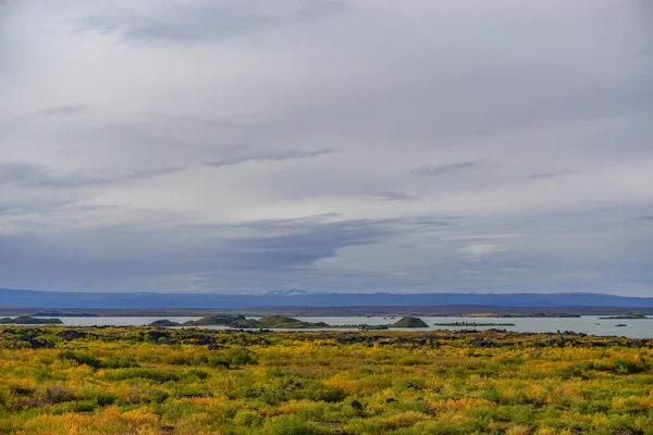 Myvatn Islandia Płytkie Jezioro Położone Obszarze Aktywnego Wulkanizmu Północy Islandii — Zdjęcie stockowe