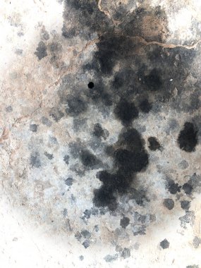 Motor yağı lekesi yere döküldü, fay yüzünden hasar gördü..