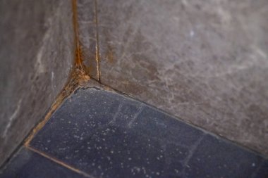 Tuvaletin köşesindeki fayansların kirli lekeleri var. Duvarların ve döşeme taşlarının da küfleri var..