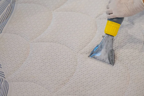 Worker Cleaning a bed with Vacuum Cleaner.Extraction method.