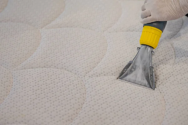 Worker Cleaning a bed with Vacuum Cleaner.Extraction method.