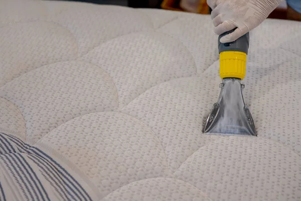 Worker Cleaning a bed with Vacuum Cleaner.Extraction method.