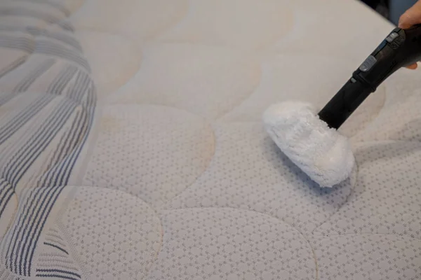 Cleaning a bed with Steam Cleaner.Bed cleaning concept.