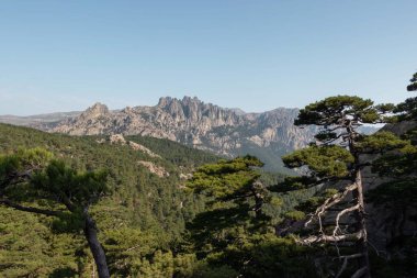 Col de Bavella, Korsika, Fransa. Corse Dağları 'nda yürüyüş..