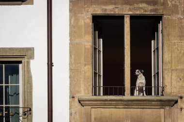 Eski Bern Kasabası, İsviçre 'nin başkenti..
