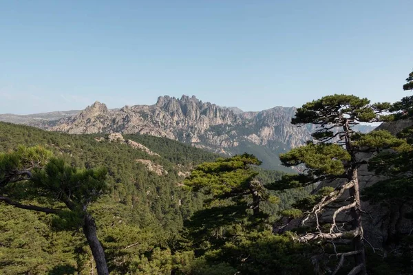 Col de Bavella, Korsika, Fransa. Corse Dağları 'nda yürüyüş..