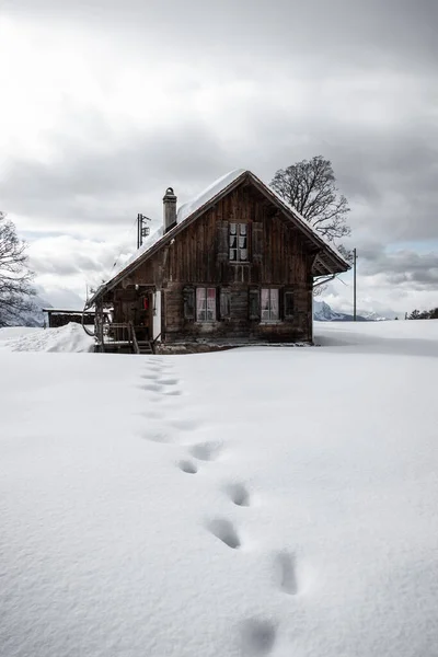Rigi Lucerne, İsviçre. Luzern yakınlarındaki İsviçre Alplerinin Karlı Tepelerinde Kış Yürüyüşü.