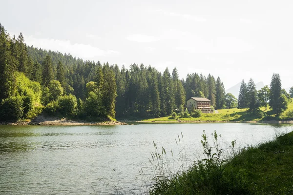 Obersee, Nfels, İsviçre. İsviçre Alplerinde Yaz Yürüyüşü.