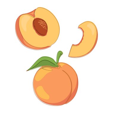 Şeftali meyvesi seti. Düz illüstrasyon beyaz üzerine izole