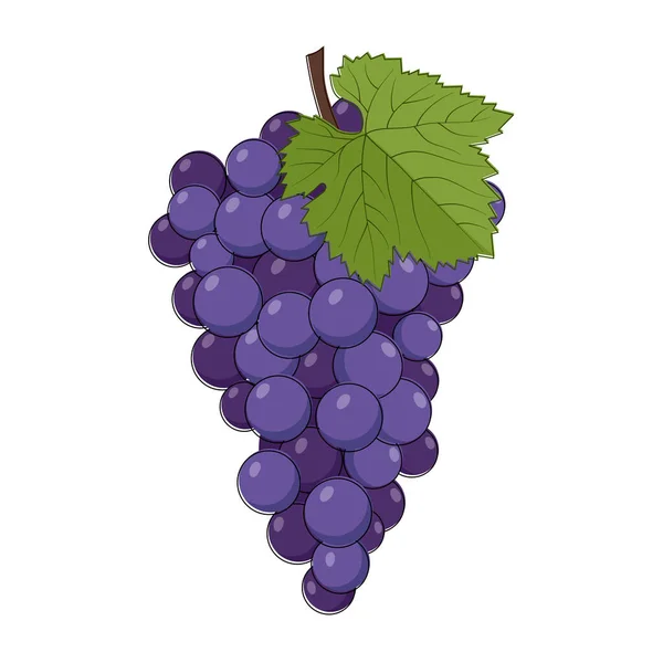 Illustration Raisin Violet Fruit Plat Isolé Sur Blanc — Image vectorielle