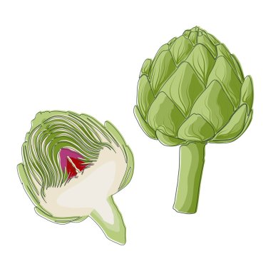 Yeşil enginar beyazda izole edilmiş. Düz dizaynlı sebze