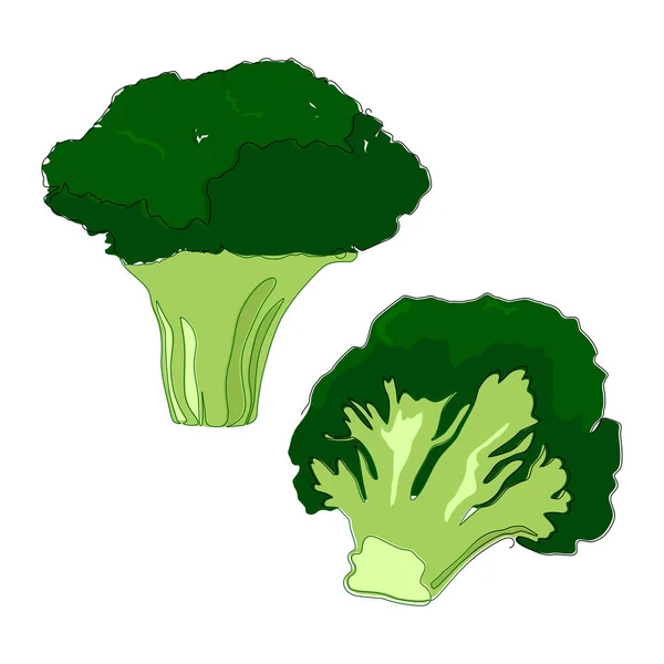 Broccoli Isolated White Healthy Vegetable Flat Design — Stock Vector