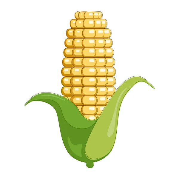 Иллюстрация Жёлтой Кукурузы Изолирована Белом Плоский Овощ — стоковый вектор