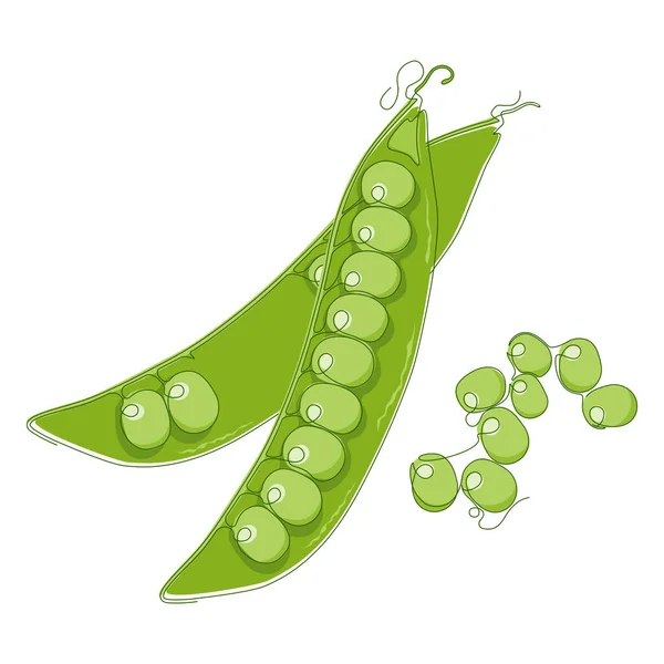 Green Peas Isolated White Vegetable Flat Design — Stock Vector