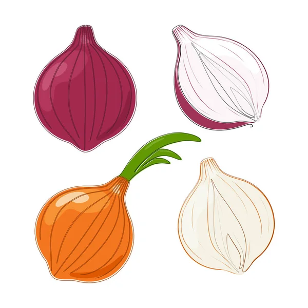 Σετ Από Λευκό Και Κόκκινο Κρεμμύδι Λαχανικά Επίπεδη Σχεδίαση — Διανυσματικό Αρχείο