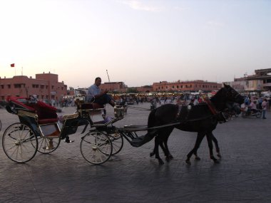 Marakeş, Fas, 12 Ağustos 2012: Jemaa El Afna Meydanı 'nda at arabası. Marakeş. Fas.