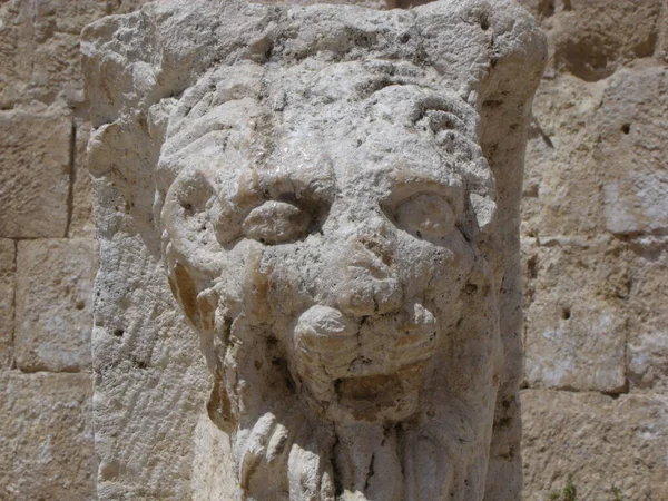 Jerash Ιορδανία Αυγούστου 2010 Γλυπτική Ενός Λιονταριού Στη Ρωμαϊκή Πόλη — Φωτογραφία Αρχείου