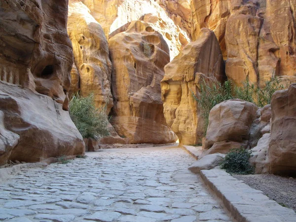 Petra Jordan August 2010 Stone Paved Path Siq Narrow Canyon — Stock Photo, Image