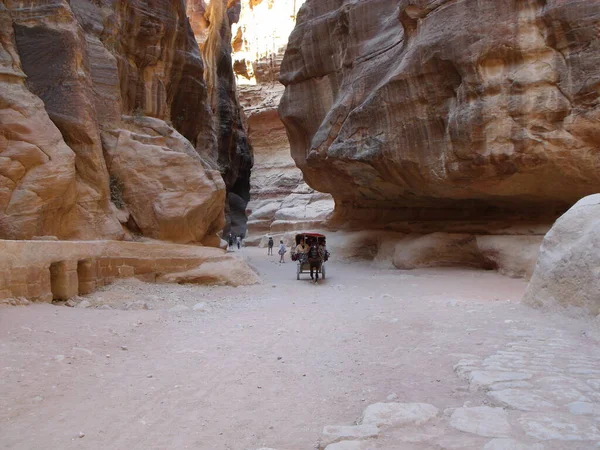 Πέτρα Ιορδανία Αυγούστου 2010 Ένα Καρότσι Μουλάρια Οδηγεί Τους Τουρίστες — Φωτογραφία Αρχείου