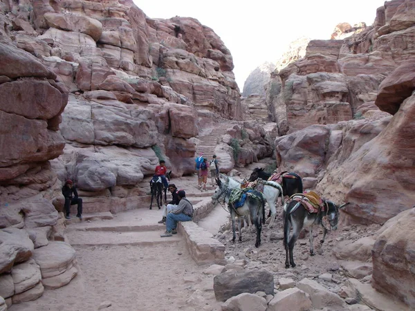 Petra Jordan Srpna 2010 Oslové Turisté Stezce Vedoucí Kláštera Hoře — Stock fotografie