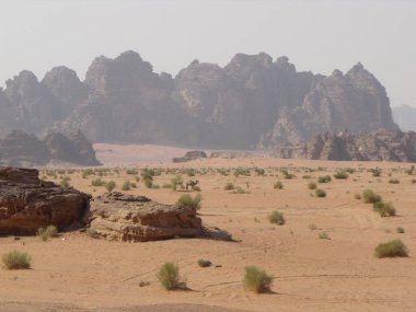 Wadi Rum Çölü, Ürdün, 14 Ağustos 2010: Wadi Rum Çölü, Ürdün