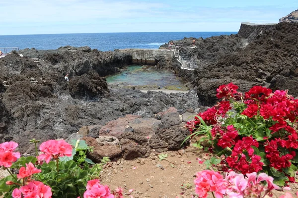 Garachico Tenerife Canary Islands Spain July 2022 Flowers Natural Pools — Stockfoto