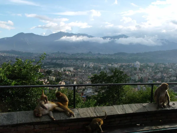 Kathmandu Nepal August 2011 Monkeys City Background Clouds Himalayas Swayambhunath — Foto de Stock