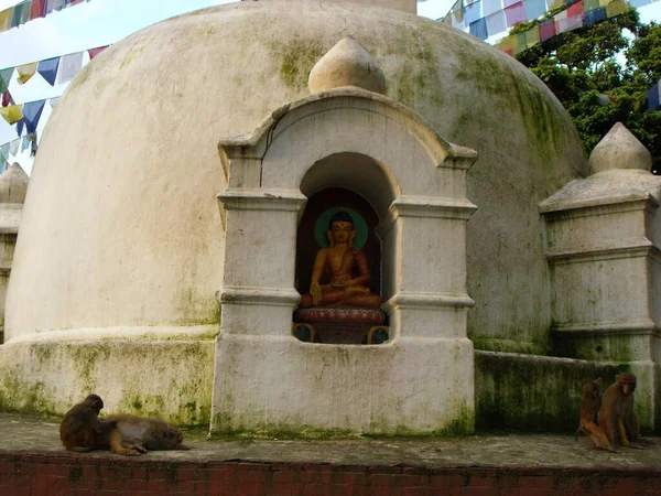 Kathmandu Nepal Agosto 2011 Dois Macacos Lado Uma Imagem Buda — Fotografia de Stock