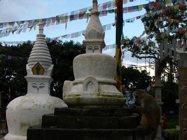 Kathmandu Nepal Agosto 2011 Duas Estupas Brancas Com Olhos Buda — Fotografia de Stock