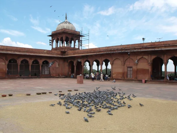 Мечеть Джама Масджід Нью Делі Індія Серпня 2011 Голуби Великій — стокове фото