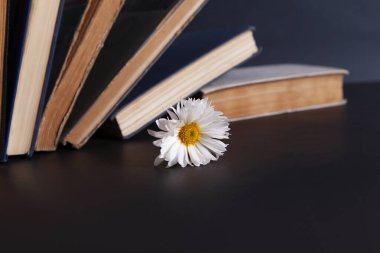 Masaüstünde çiçek ve kitap