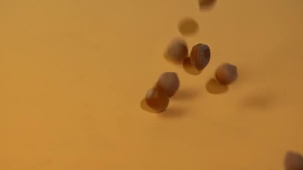 Dropping lískových oříšků plný hd záběry — Stock video