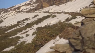 The trek to the Tungnath temple is done by climbing the path from the side of the hill