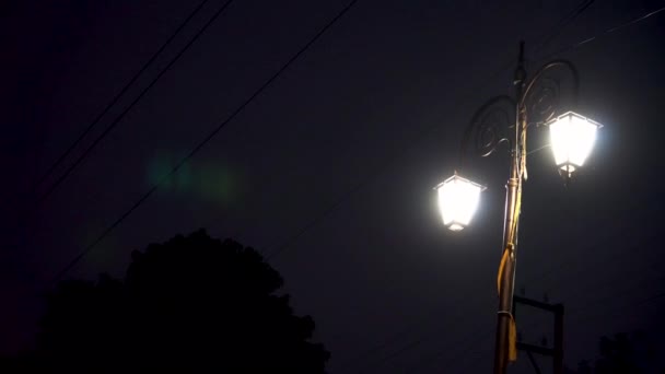 Уличные Фонари Светились Темноте Ночи Распространяя Свет Темным Улицам — стоковое видео