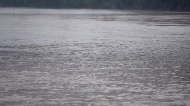 Det Vacker Syn Att Vattnet Ganges — Stockvideo