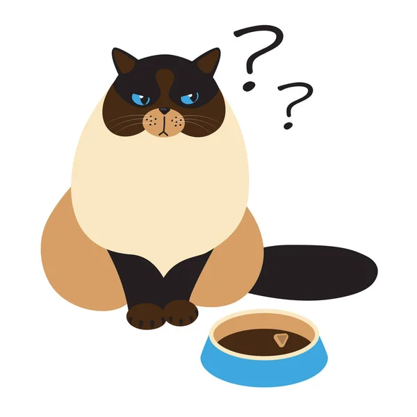 可爱的肥猫正坐在一只空碗旁 饥饿的猫在等食物 一个不满意的 困惑的 悲伤的宠物 卡通风格的平板画 库存矢量图解 Eps 免版税图库插图