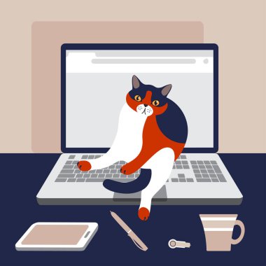 Kedi dizüstü bilgisayara rahatça yerleşmiş ve ekranı kapatmış. Sevdiği biriyle evde çalışıyor.