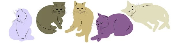 Conjunto Gatos Multicolores Diferentes Poses Aisladas Sobre Fondo Blanco — Vector de stock