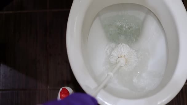 Toalettspolning Närbild Video Kvinna Rengör Toalett Skål Med Medel För — Stockvideo