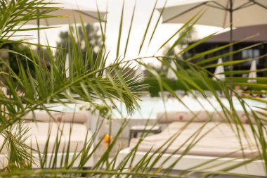 havuz tropikal bir plajda - tatil arka plan