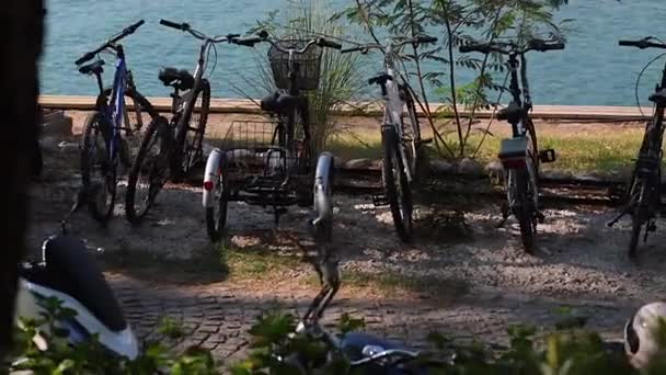 Fahrräder Und Eine Palme Hintergrund Eines Flusses Einer Ferienstadt Sommer — Stockvideo