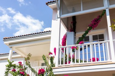 Bougainvillea çiçekleri balkonlu bir evin etrafında. hindi